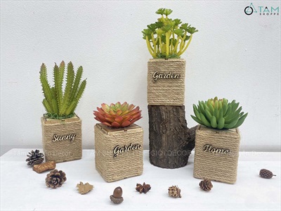 Chậu sen đá vuông quấn dây thừng để bàn [Nhiều kiểu] CHAUCAYGIA-20